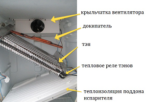 C236NFG.016, Не Работает Верхняя Камера Холодильника Индезит, Тольятти